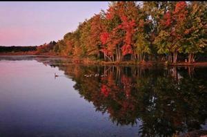 Autumn Lake